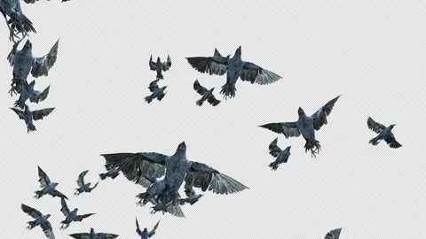 Crow, Bird, Bat, 3D Render, With Alpha Channel Video stock 245384850