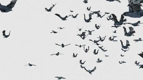 Crow, Bird, Bat, 3D Render, With Alpha Channel Stock Footage 246144917