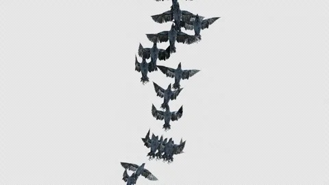 Crow, Bird, Bat, 3D Render, With Alpha Channel Stock Footage 247731094
