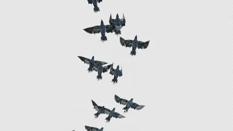 Crow, Bird, Bat, 3D Render, With Alpha Channel Video stock 247733592