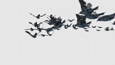 Crow, Bird, Bat, 3D Render, With Alpha Channel Video stock 247733858