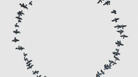 Crow, Bird, Bat, 3D Render, With Alpha Channel Stock Footage 248781895