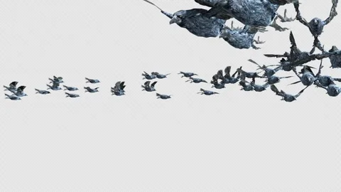 Crow, Bird, Bat, 3D Render, With Alpha Channel Stock Footage 248782435