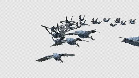 Crow, Bird, Bat, 3D Render, With Alpha Channel Stock Footage 248782471