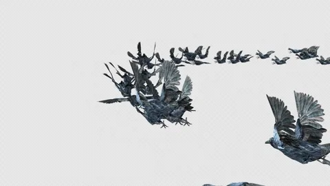 Crow, Bird, Bat, 3D Render, With Alpha Channel Stock Footage 248782663