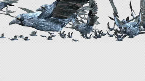 Crow, Bird, Bat, 3D Render, With Alpha Channel Stock Footage 248782671