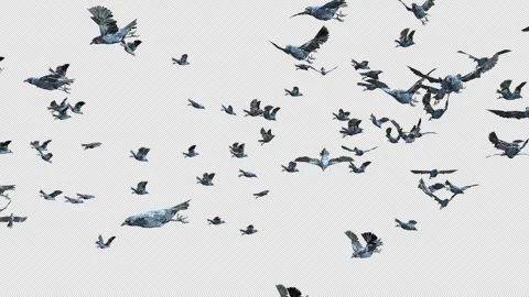 Crow, Bird, Bat, 3D Render, With Alpha Channel Stock Footage 250028865