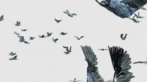 Crow, Bird, Bat, 3D Render, With Alpha Channel Video stock 250870257