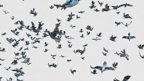 Crow, Bird, Bat, 3D Render, With Alpha Channel Stock Footage 251993801