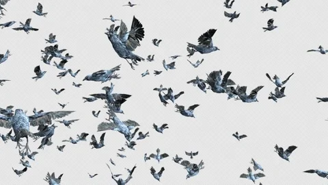 Crow, Bird, Bat, 3D Render, With Alpha Channel Video stock 259076544