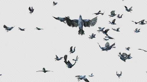 Crow, Bird, Bat, 3D Render, With Alpha Channel Stock Footage 260733972