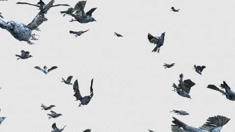 Crow, Bird, Bat, 3D Render, With Alpha Channel Stock Footage 260735554