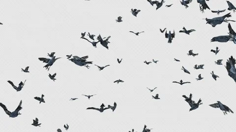 Crow, Bird, Bat, 3D Render, With Alpha Channel Stock Footage 260736075