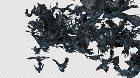 Crow, Bird, Bat, 3D Render, With Alpha Channel Stock Footage 264341070