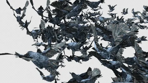 Crow, Bird, Bat, 3D Render, With Alpha Channel Video stock 264341111