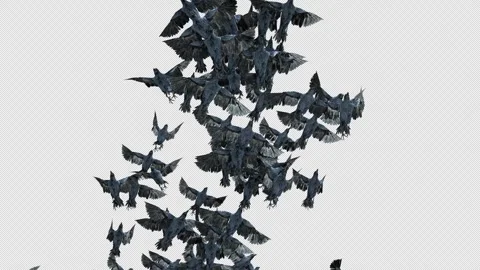 Crow, Bird, Bat, 3D Render, With Alpha Channel Stock Footage 264342978