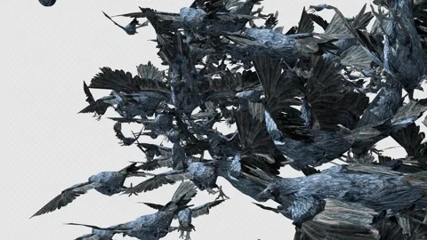 Crow, Bird, Bat, 3D Render, With Alpha Channel Video stock 264343293