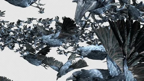 Crow, Bird, Bat, 3D Render, With Alpha Channel Stock Footage 264344144