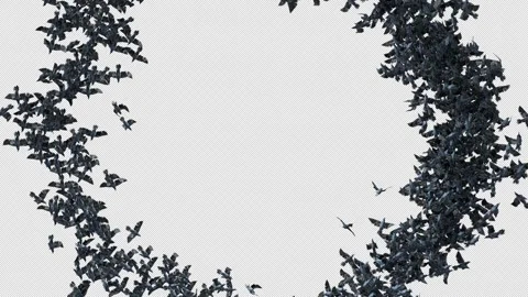 Crow, Bird, Bat, 3D Render, With Alpha Channel Stock Footage 264345909