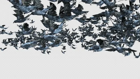 Crow, Bird, Bat, 3D Render, With Alpha Channel Video stock 264346461