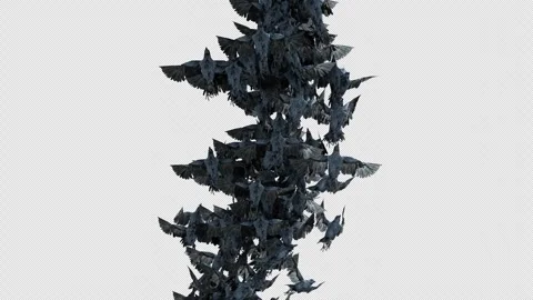 Crow, Bird, Bat, 3D Render, With Alpha Channel Stock Footage 269189022