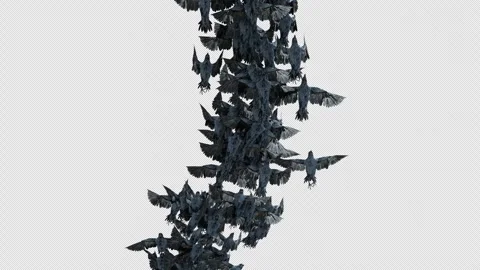 Crow, Bird, Bat, 3D Render, With Alpha Channel Stock Footage 269190408