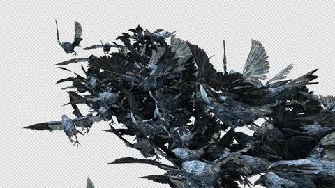 Crow, Bird, Bat, 3D Render, With Alpha Channel Stock Footage 269190531