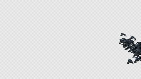 Crow, Bird, Bat, 3D Render, With Alpha Channel Stock Footage 269191031