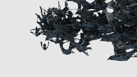 Crow, Bird, Bat, 3D Render, With Alpha Channel Stock Footage 269191049