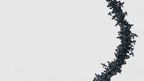 Crow, Bird, Bat, 3D Render, With Alpha Channel Stock Footage 269191197