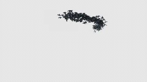 Crow, Bird, Bat, 3D Render, With Alpha Channel Stock Footage 269191367