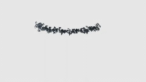 Crow, Bird, Bat, 3D Render, With Alpha Channel Video stock 269191380