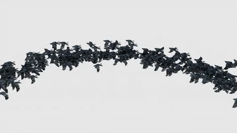 Crow, Bird, Bat, 3D Render, With Alpha Channel Stock Footage 269191995