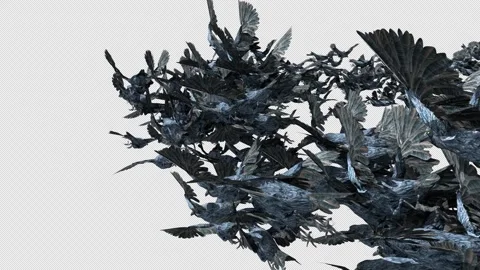 Crow, Bird, Bat, 3D Render, With Alpha Channel Stock Footage 269192953