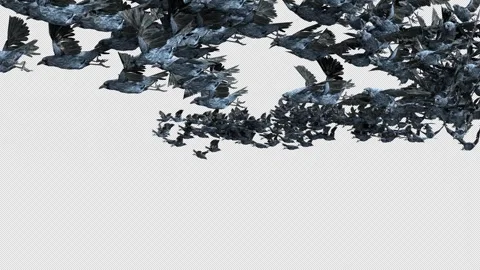 Crow, Bird, Bat, 3D Render, With Alpha Channel Video stock 269193208
