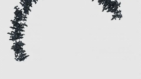 Crow, Bird, Bat, 3D Render, With Alpha Channel Stock Footage 269193232