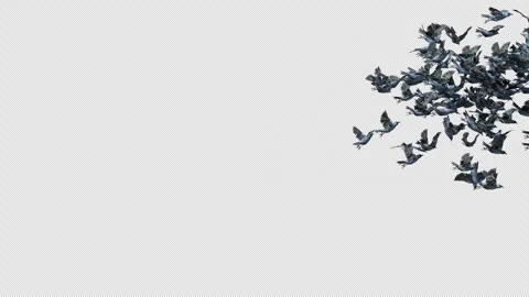 Crow, Bird, Bat, 3D Render, With Alpha Channel Video stock 274303820