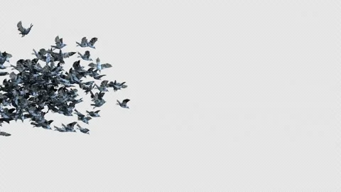 Crow, Bird, Bat, 3D Render, With Alpha Channel Video stock 274304071