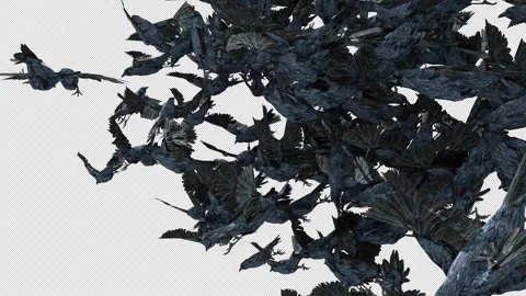 Crow, Bird, Bat, 3D Render, With Alpha Channel Stock Footage 274304200