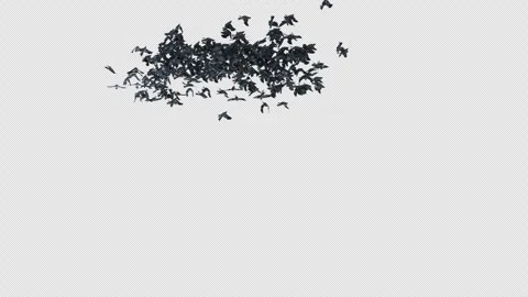 Crow, Bird, Bat, 3D Render, With Alpha Channel Video stock 274304330