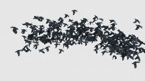 Crow, Bird, Bat, 3D Render, With Alpha Channel Stock Footage 274304728