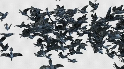 Crow, Bird, Bat, 3D Render, With Alpha Channel Stock Footage 274304749