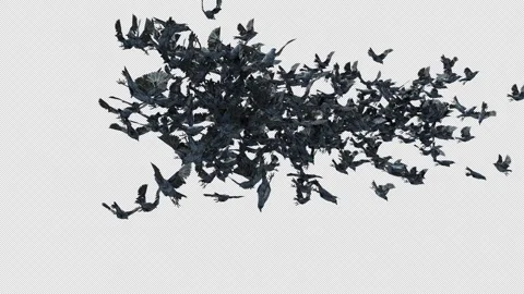 Crow, Bird, Bat, 3D Render, With Alpha Channel Stock Footage 274304754