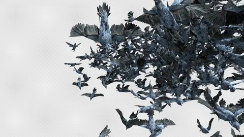 Crow, Bird, Bat, 3D Render, With Alpha Channel Stock Footage 274304786