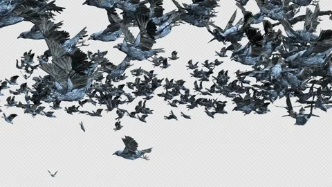 Crow, Bird, Bat, 3D Render, With Alpha Channel Video stock 276563788