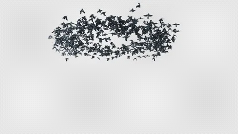 Crow, Bird, Bat, 3D Render, With Alpha Channel Video stock 276709776