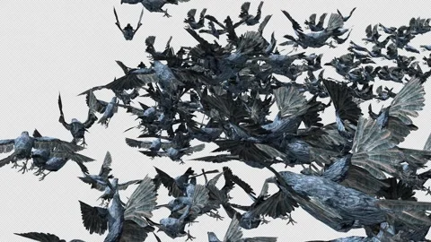 Crow, Bird, Bat, 3D Render, With Alpha Channel Stock Footage 276710093
