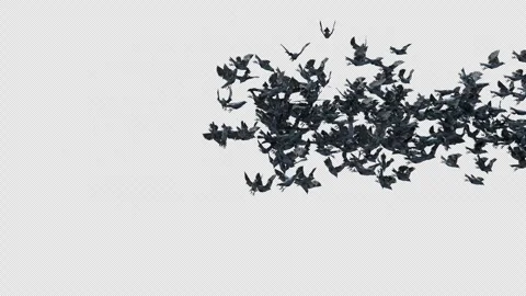 Crow, Bird, Bat, 3D Render, With Alpha Channel Video stock 277156546