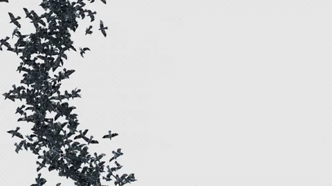 Crow, Bird, Bat, 3D Render, With Alpha Channel Stock Footage 277157102