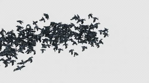 Crow, Bird, Bat, 3D Render, With Alpha Channel Video stock 277157526